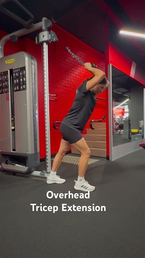 Overhead Cable Tricep Extension - Rope Attachment - Dual Adjustable Pulley Machine - Technogym