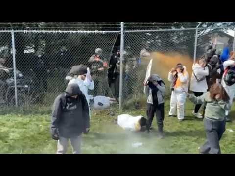 Protest at beagle research facility in Wisconsin turns violent
