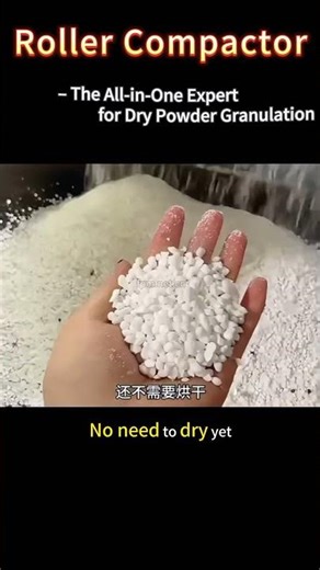 Roller Granulator: No Drying, Dry Powder Directly Granulated#shorts #fertilizermachine