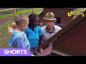 CBeebies: Collecting Eggs on Down to Earth Farm - Mr Bloom Here and There