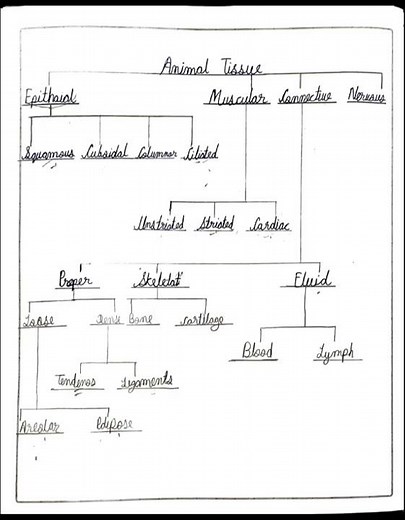 "Tissue class 9 | Biology Notes for Exams " #class9biolog #quickrevision #ncertbiology