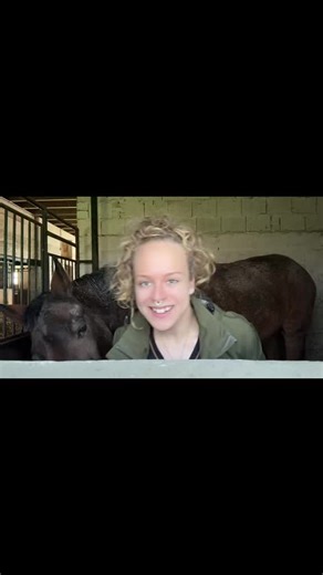 Cleaning Up After Your Dirty Horse