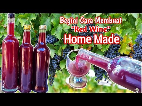 Cara Mudah Membuat Red Wine Homemade🍷Anggur Merah Rumahan | Minuman Fermentasi
