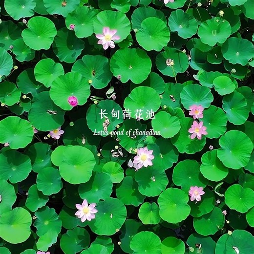 Discover Liaoning | #LiaoningTourism #DiscoverLiaoning 🍃 Through the changing seasons, Kuandian becomes a living ecological painting—mountains as canvas 🏞️,... | Instagram