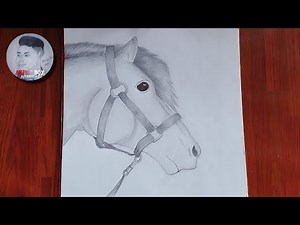 How to Draw a Realistic Horse Head | Pencil Sketch Tutorial | Step-by-step
