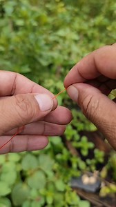 829K views · 6.6K reactions | Braid to Mono Knots: Advanced Techniques | IJG Fishing 72 | Facebook