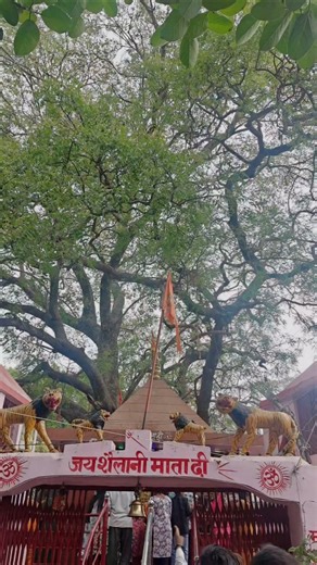 mujhe le chal mandir🙏🏻#shorts #yt #mamtarajkiduniya #youtube #vairal #temple #trending #maa #love