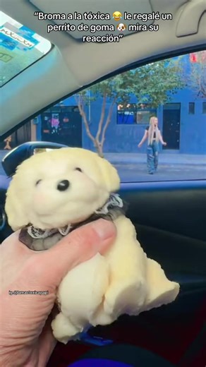 Pensó que era real por un segundo 🐶😳😂 #toxica #broma #humor #fypシ #jaja