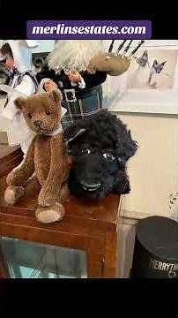 Merlin's Estate Sale in Hanford