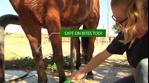 One Pass Horse & Livestock Body Blade, Sweat Scraper