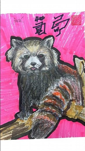 動物園で人気No,1‼️かわいいレッサーパンダの描き方/How to draw a cute red panda at the zoo.