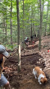 92K views · 279 reactions | Today marked the official first work day on the first new trail build in more than 10 years at Franklin Falls. Small but mighty crew came out to move dirt. If you try walking the route be careful as we encountered bees in a couple places. A couple of the crew were stung today. | Central NH NEMBA | Facebook