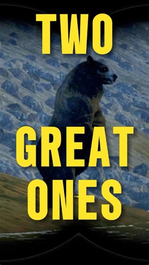 I Spawned 2 Great One Black Bears at the SAME TIME… 👀