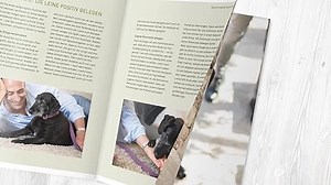 Die José-Arce-Methode: Liebe Deinen Hund. Wie Sie beim Gassigehen die Beziehung stärken (GU Mensch-Hund-Beziehung)