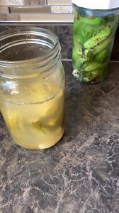 214K views · 1K reactions | How are store-bought pickles different...