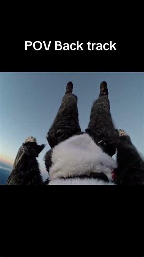 POV Skydive Back track