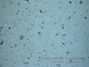 Brownian motion 2