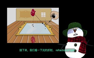 35 光的反射和折射 Reflection and refraction of light IGCSE physics