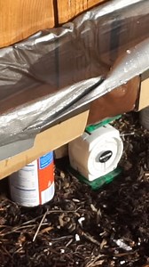 61K views · 638 reactions | The science behind water bridges ⛵ | The Action Lab | Facebook