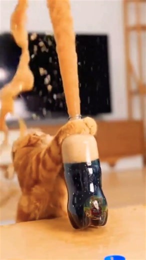 Cat Opens Coca-Cola Bottle… It EXPLODED 😱🥤🐱 #Shorts#cocacola #funny#cat