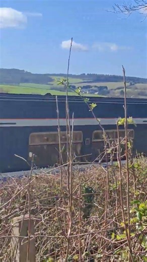 class 150 no.150231 approaching Ropley