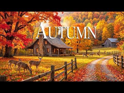 October Forest Ambience 4K 🍁 Relaxing Piano Music • Calm Mind, Study, Sleep & Relax