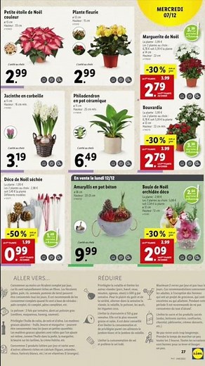 LIDL ARRIVAGE PLANTES & FLEURS DU 07/12 🌹 #lidl #catalogue #fleurs #plantes
