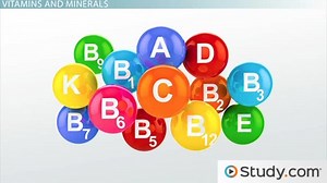 Vitamins We Need: Their Importance & Sources - Video | Study.com