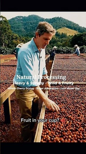 Fruit in your cup? 🍓 The Natural Process secret #coffee