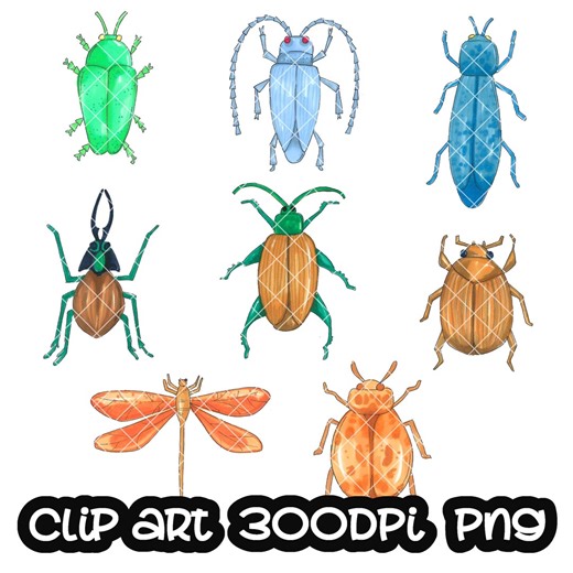 Bugs Clip Art Animals Clipart PNG - Etsy