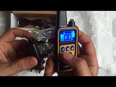 Wodondog : comment synchroniser le collier de dressage pour chien .