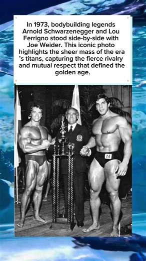 Arnold Schwarzenegger and Lou Ferrigno: Bodybuilding Giants 1973