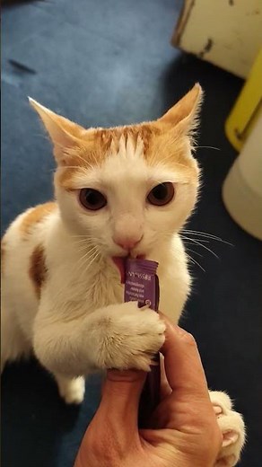 #空撮#上空映像#街並みビュー#都市風景#空からの景色#絶景スポット#夜景映像#日本の街#ドローン撮影#高層ビュー