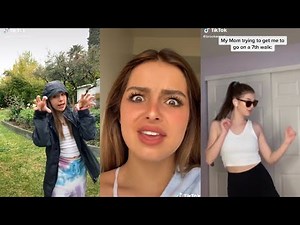 Interior Crocodile Alligator tiktok