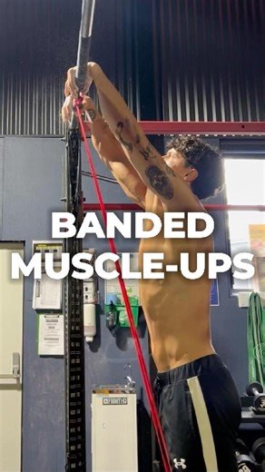 Are banded muscle-ups good?? #muscleup #muscleups #muscleupprogression #bandedmuscleups