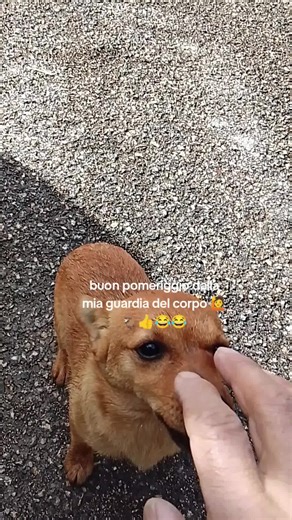 Video di robertoseulo (@robertoboiseulo) con Infinity - Radio Edit - U.S.U.R.A. & Datura