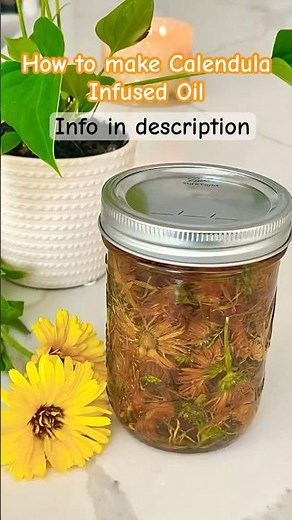 How to Make Calendula Infused Oil. Natural Skin care DIY