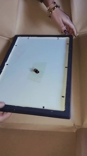 টিকটক আনবক্সিং | Exposure Art