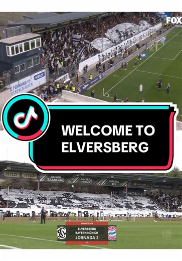 Bayern Munich vs Elversberg stadium: why Bayern changed in containers