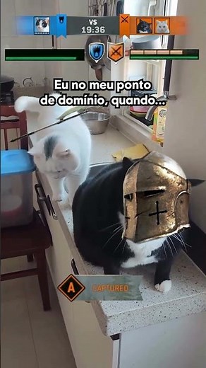 Amei essa versão felina de #ForHonor