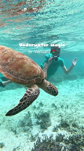 Another summer shouldn’t go by without Vanuatu on your bucket list ☀️ (🎥 IG: @4boysandacaravan) | Royal Caribbean