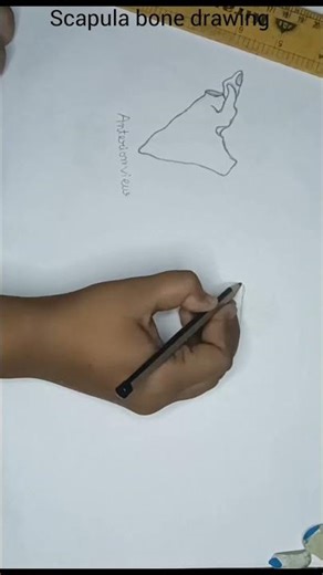 easy way to draw scapula bone. #medicalstudent #scapula #drawing #bonedrawtutorial