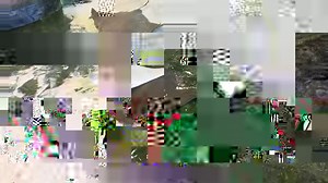 Envie d’une expérience hors de l’ordinaire? Visitez l’Aquarium du Québec en hiver! ❄️ | Aquarium du Québec