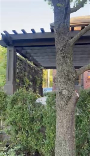 It's almost SPRING 2026! The year that you are going to FINALLY have a Cool, Dry, Shady, and PRIVATE Roof Top and Back Yard!! Book NOW and Build First Thing in the Spring! We Build the very best outdoor structures in Chicagoland - at the VERY BEST PRICES!! Rated 5 STARS on Google - A with the Better Business Bureau - and the Winner of the BBB - "No Complaints" Award for 5 YEARS IN A ROW!! Give us a call at our Lombard office at 800 883 0997, or message us right here, and schedule your Fast, Free