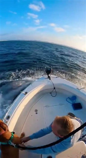 DOLPHIN JUMPS INTO BOAT 😲🐬 Real Accidental Footage | Wild Moment at Sea