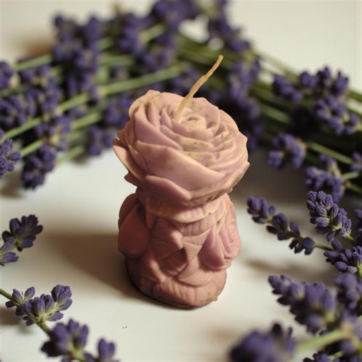 Lavender Rose Tulip - Etsy