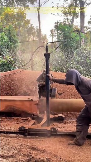 Cutting Through Wood: The Art of Precision Logging