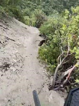 beginning section of bug springs mt.lemmon #arizona