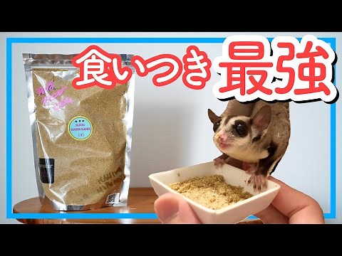 【フクロモモンガ】うまうまモモンガ｜食いつきの良い餌をお探しの方におすすめ