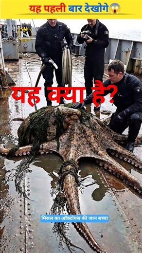Giant Octopus Deep Cleaning & Rescue Mission! 🌊 Aisa pehle kabhi nahi dekha hoga.||#shortvideo
